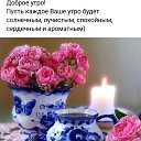 ���� �����, ���������, 54 ���� - ��������� 3 ������� 2023 � ������ ���� ����������