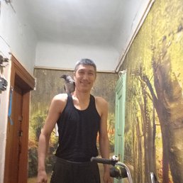  , , 51  -  15  2023