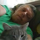 ���� Kot, �����������, 43 ���� - ��������� 6 ������ 2022