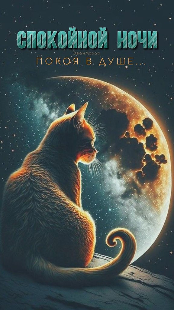   ,    . - 23  2023  21:48