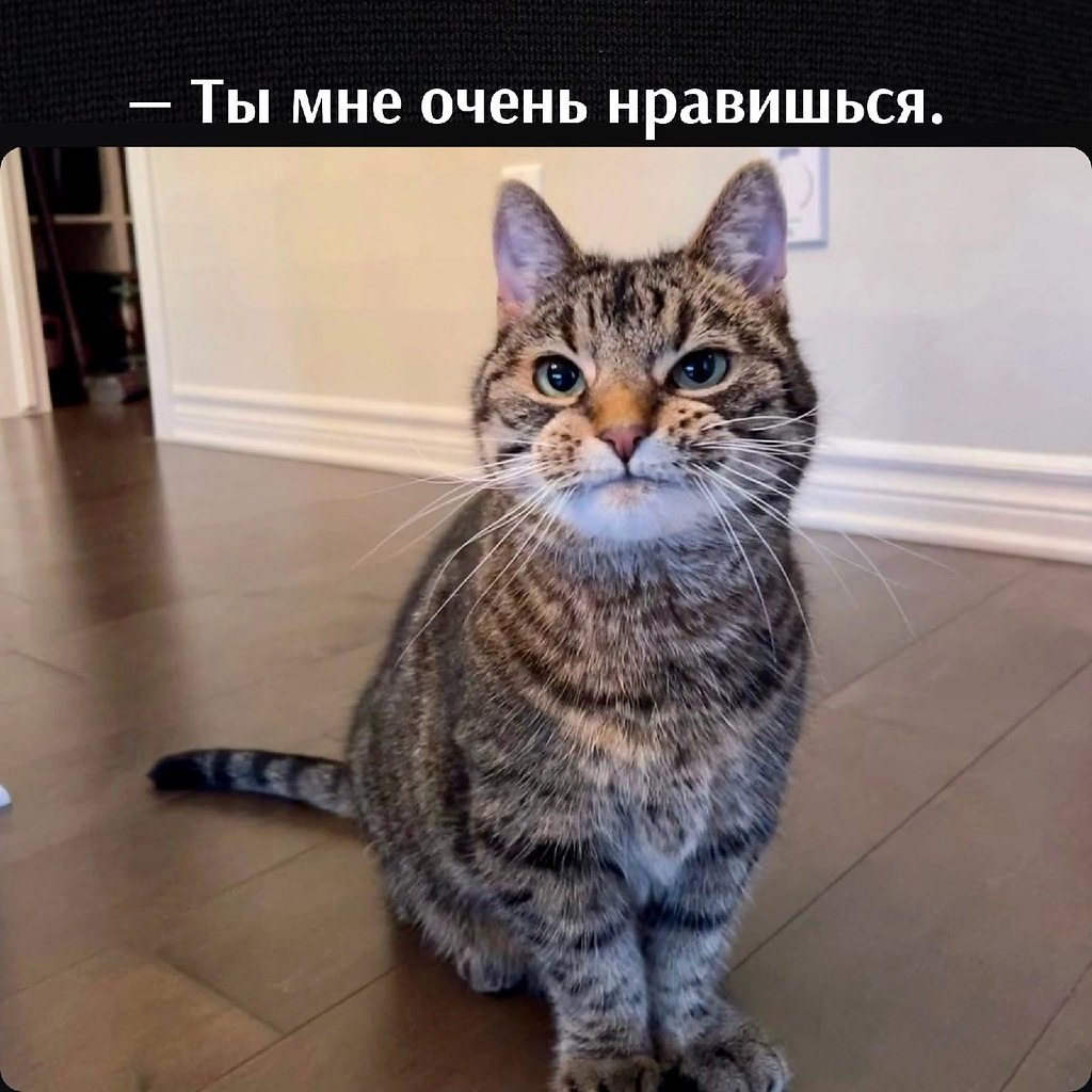       - 11  2022  11:10