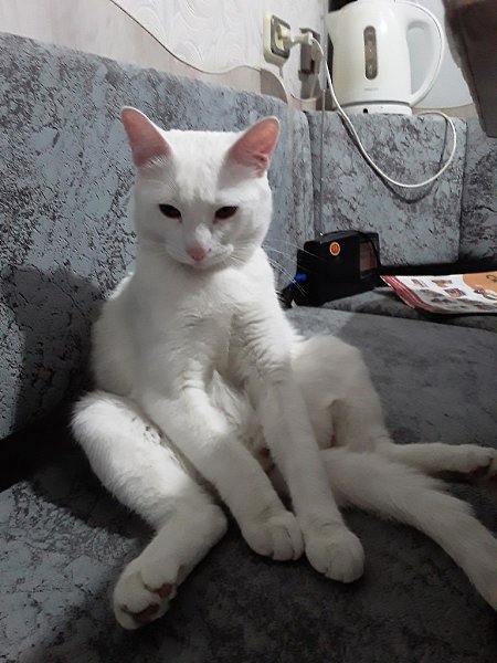     ??!!