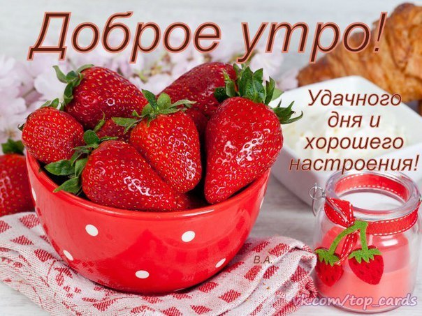   ,    . - 28  2022  08:12