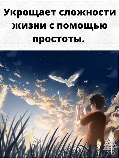 ,     : - 6
