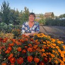 ���� �����, ���������, 62 ���� - ��������� 27 �������� 2022