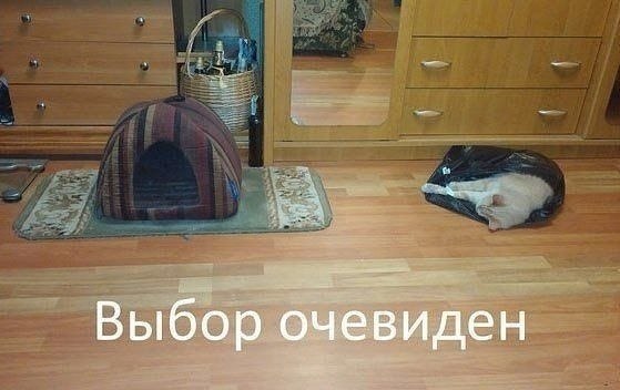    - 29  2022  16:11