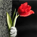 ���� �������, ������, 39 ��� - ��������� 18 ������ 2022