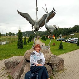 , , 58 