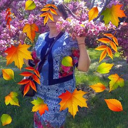 �������, ���������, 61 ���