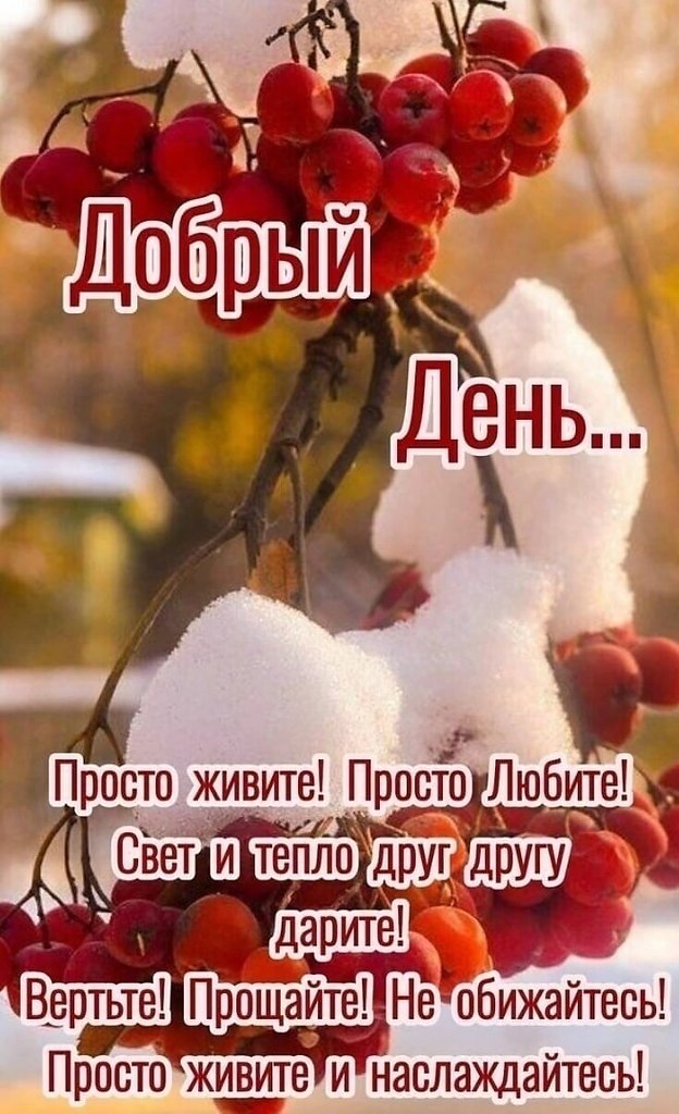   ,    . - 28  2022  21:09 - 4