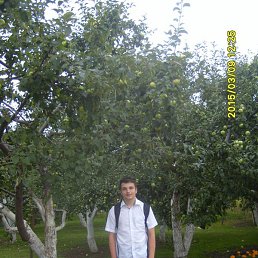 , , 24 