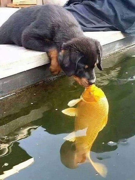 :)  , ))))
