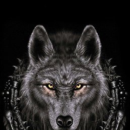 ���� �������, ������������, 49 ��� - ��������� 14 ������� 2023