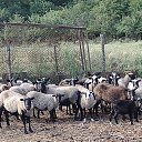 ���� ��������, �����, 73 ���� - ��������� 26 ������� 2022