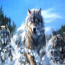 ���� ������, �������, 43 ���� - ��������� 16 ������ 2022