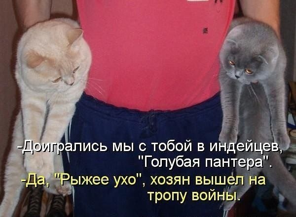    - 25  2022  23:42