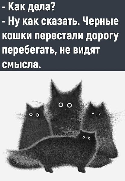   ! - 23  2022  09:16