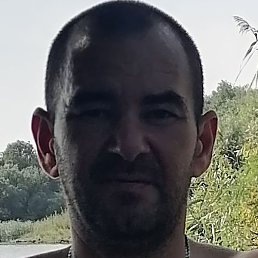 ���������, ������������, 45 ���