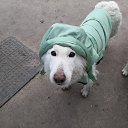 ���� ������, ����������� - ��������� 17 �������� 2022 � ������ ���� ����������