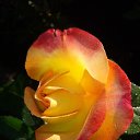 ���� �������, ������ - ��������� 7 ����� 2022 � ������ ���� ������� ���