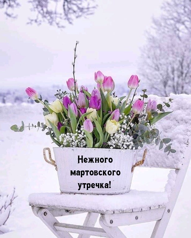 ***Victoria Viktorovna*** - 21  2022  04:46