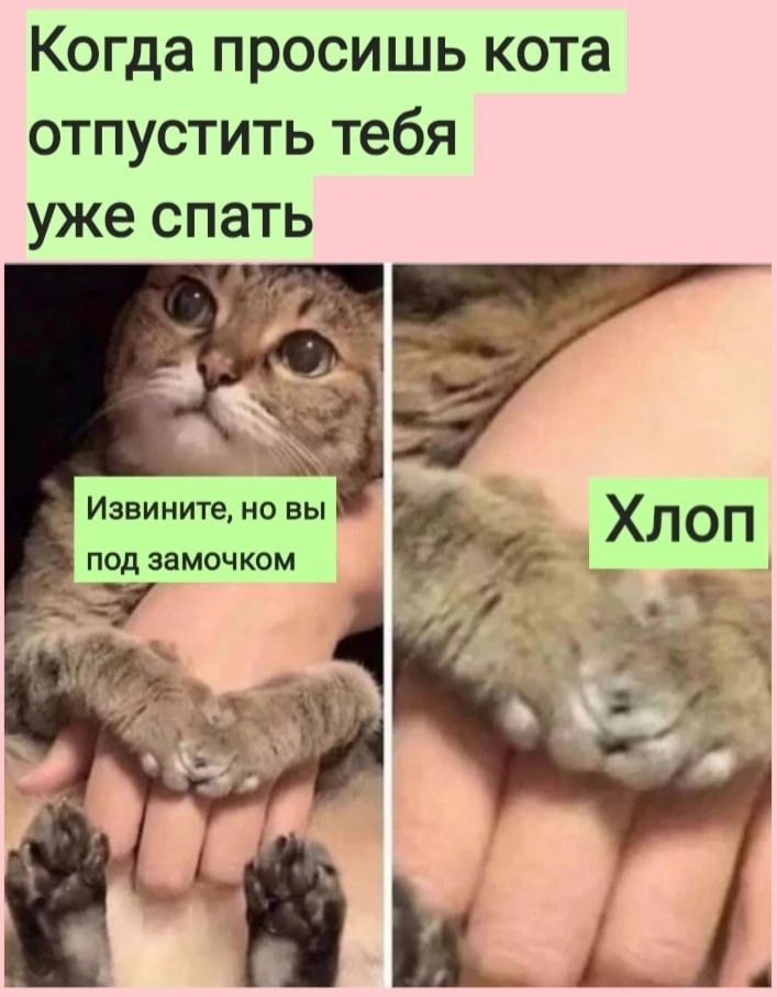   :D - 16  2022  12:09