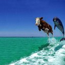 ���� Atwa, ��������, 25 ��� - ��������� 30 ������� 2022 � ������ ���� ����������