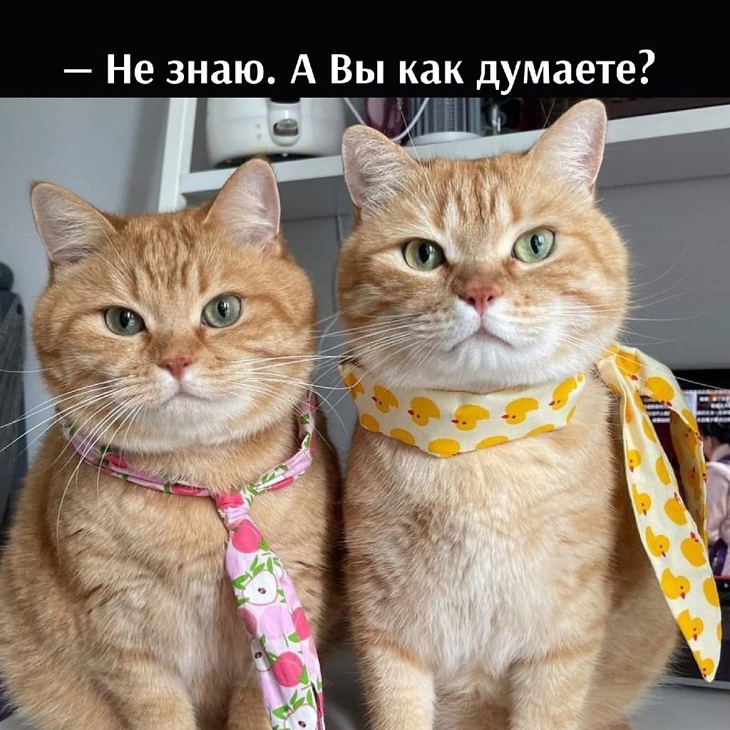       - 28  2022  16:03 - 2