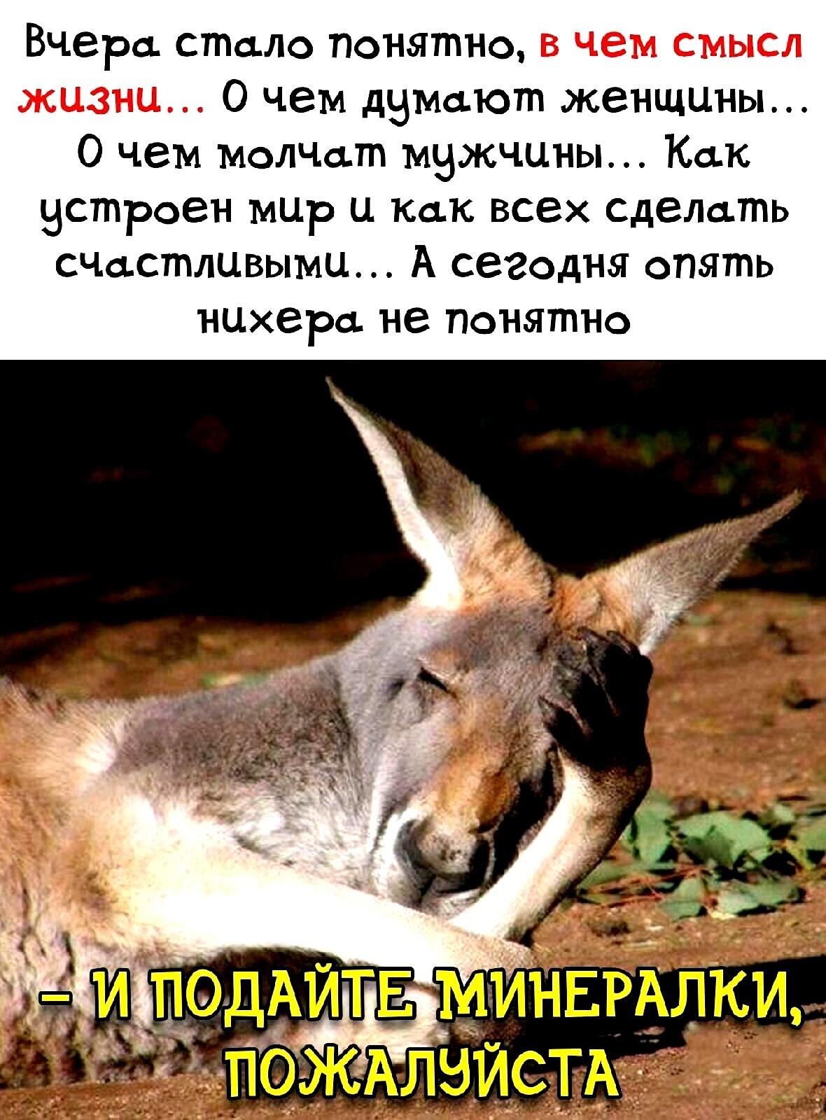 ***Victoria Viktorovna*** - 24  2022  05:36