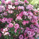 ���� �����, ���� - ��������� 29 ������ 2022 � ������ ���� ����������