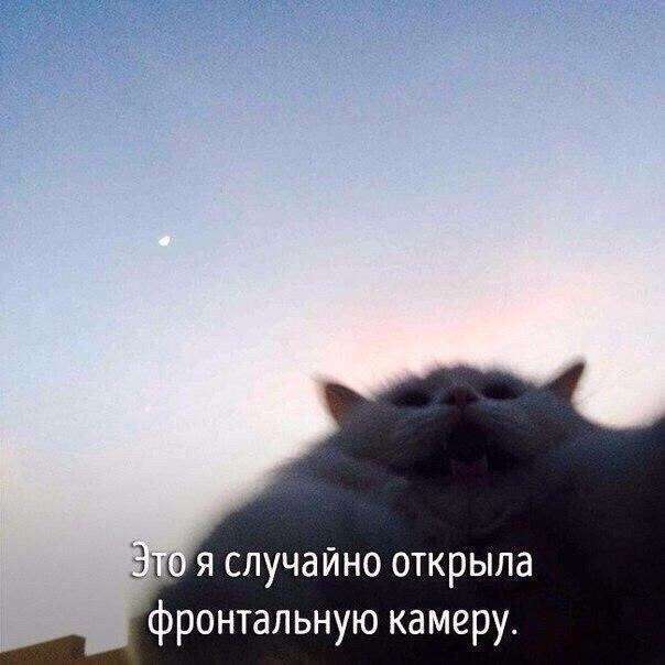   - 3  2022  16:40