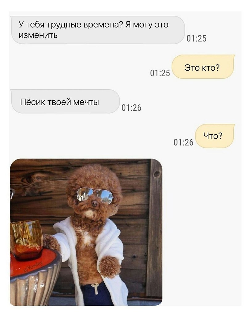    - 9  2022  00:16