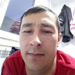 ��������, ������, 37 ���