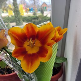 ���� Aleksey, ��������� - ��������� 21 ����� 2022