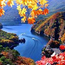 ���� Dilsingh, ����, 36 ��� - ��������� 13 ������� 2022