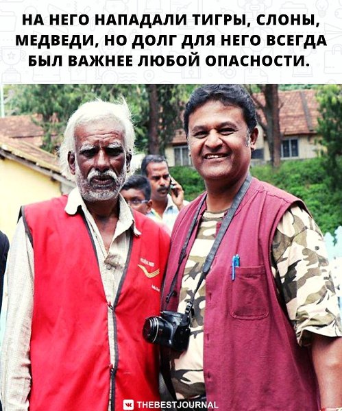 А кто сказал, что почтальон - это не опасная профессия? - 2