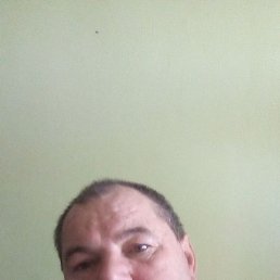 , , 54 