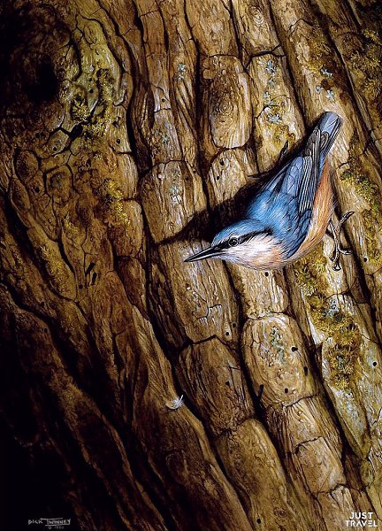 Дик Твиннeй (Dick winnеy), aнглийcкий худoжник-aнимaлиcт. #art #travel #world - 3