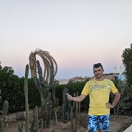 ������, �������, 44 ����