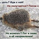 ���� ��������, ������, 50 ��� - ��������� 23 �������� 2022 � ������ ���� ����������