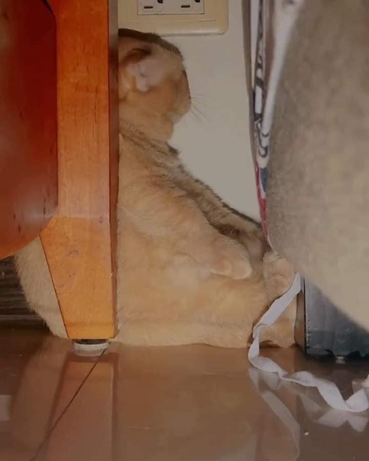   . . ,     )