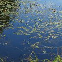 ���� �������, ������, 73 ���� - ��������� 10 �������� 2022