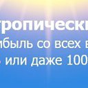 ���� ����������, ��������, 106 ��� - ��������� 17 ���� 2022 � ������ ������