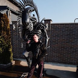 �������, �����-���������, 51 ���