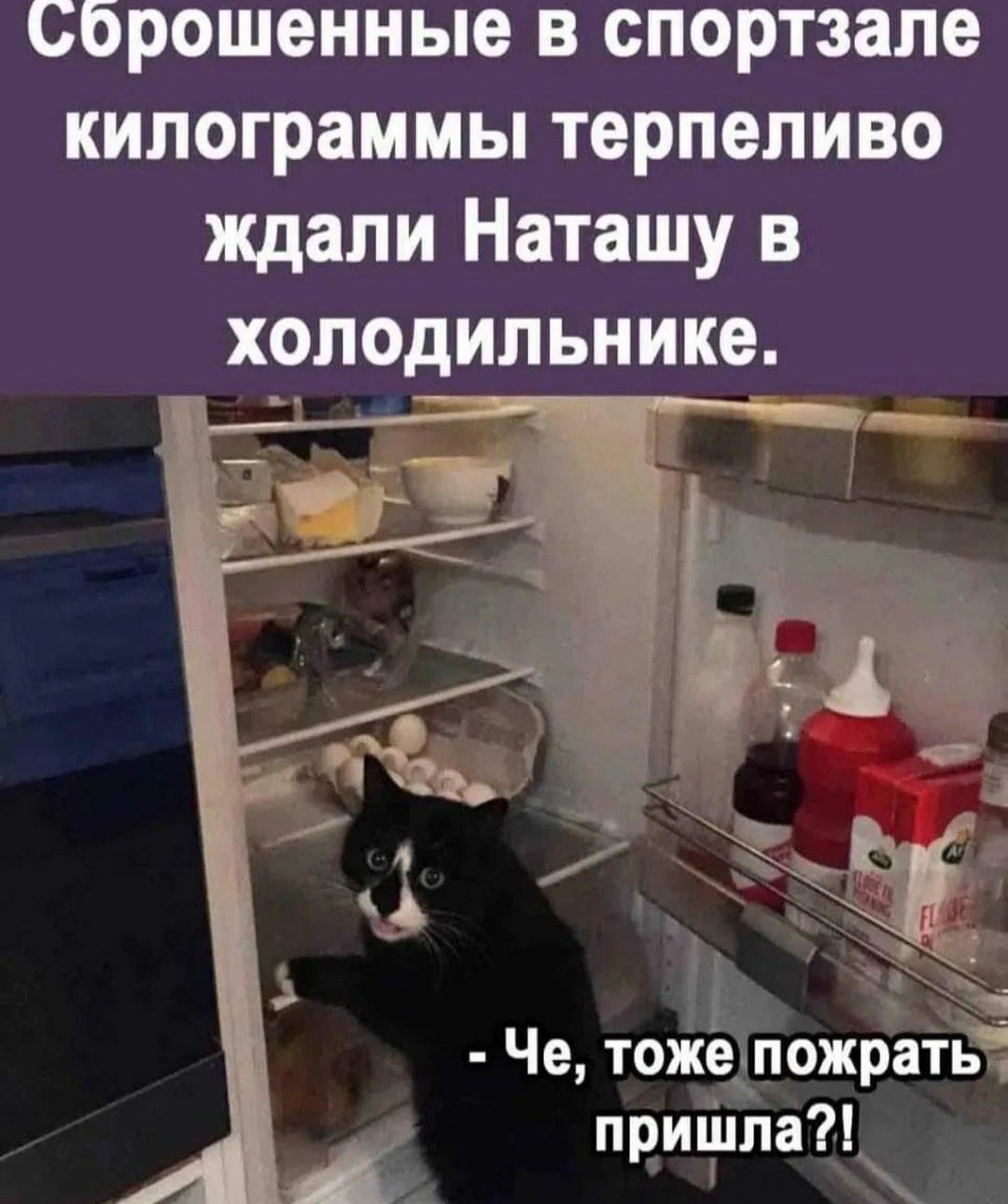 *T* - 28  2022  22:34