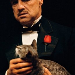 Marlon, �����-���������, 60 ���