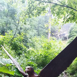 ����, ������-��-����, 35 ���