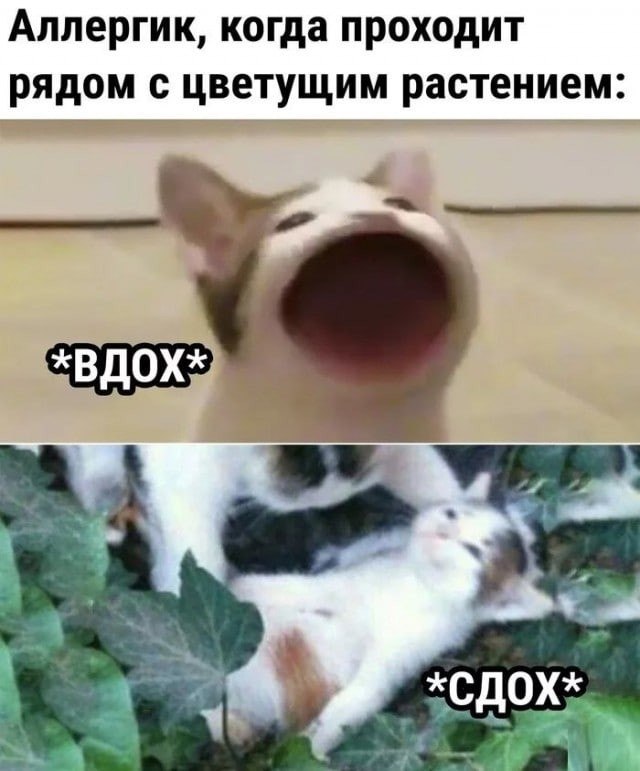 Дмитрий - 14 июня 2022 в 23:09