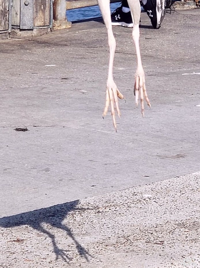 eae, o cee  aae oopa o ppo.  oopao o ppo,  o ... - 7