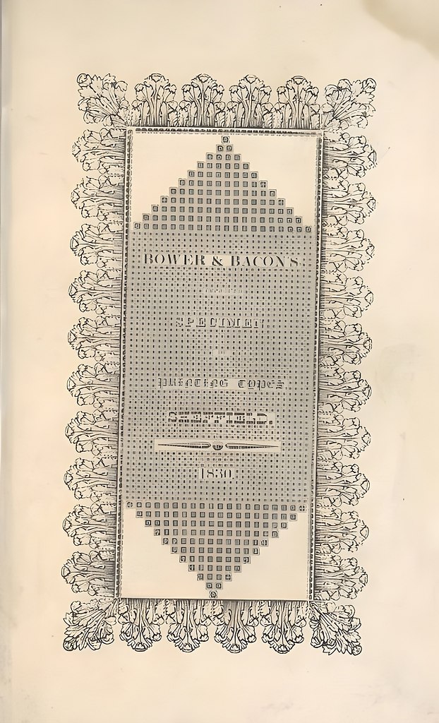 Early Type Specimens        -. ... - 4